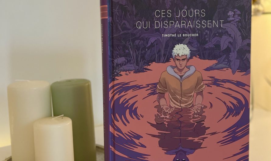 Ces jours qui disparaissent – Timothé le Boucher